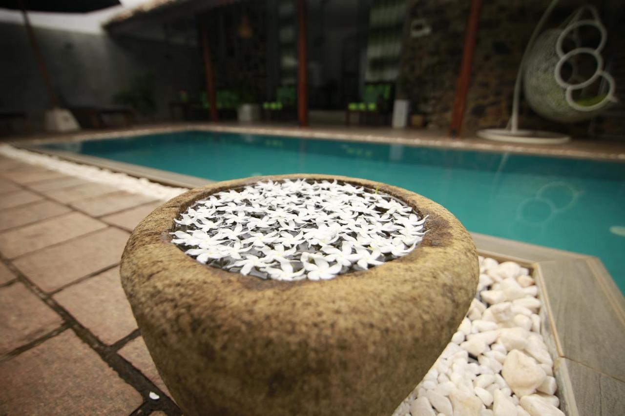 Rock Elephant Villa Хиккадува Экстерьер фото